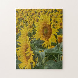 Sonnenverwöhnte Sonnenblumen-Puzzle, 28 cm x 36 cm Puzzle