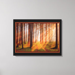 Sonnenverwunschener Wald Leinwanddruck