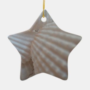Sonnenweiße Muscheln, Sea Muschel Beach Sommer Lie Keramik Ornament