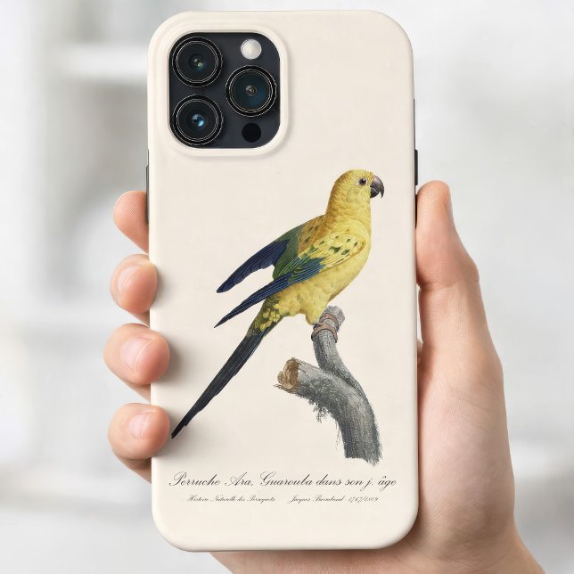 Sonnenzügelara oder Sonnensittich Aratinga solstit Case-Mate iPhone Hülle (Young Sun Parakeet or Conure Aratinga solstitialis. iPhone 13 Pro Max Case)