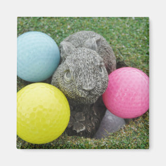 Sonnig mit farbigen Golfbälle Magnet