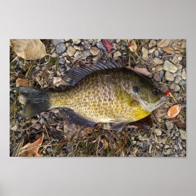 sonnig poster (Vorne)