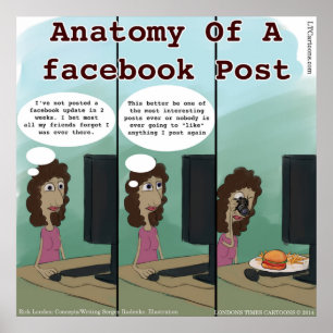Sonnige Anatomie eines Facebook-Posts Poster
