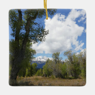 Sonnige Aussicht auf den Grand Teton Mountain Keramikornament
