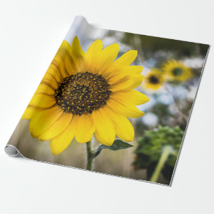 Sonnige Benommenheit Geschenkpapier