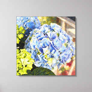 Sonnige Blaue Hortensie Eleganter Cottage-Garten Leinwanddruck