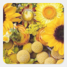 Sonnige Gelbe Flora