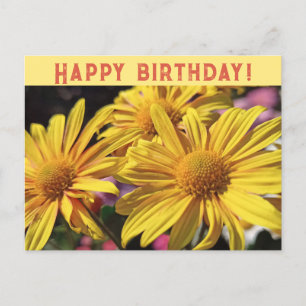 Sonnige Gelbe/Gelbe Chrysanthemum/Glücklicher Gebu Feiertagspostkarte