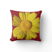 Sonnige gelbe Kamille