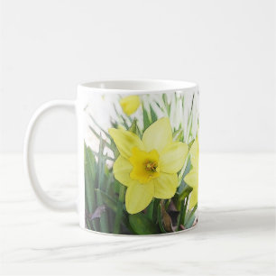Sonnige gelbe Narzisse Tasse