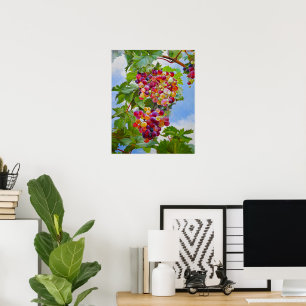 Sonnige Grapevine - Farbenfrohe Trauben Poster
