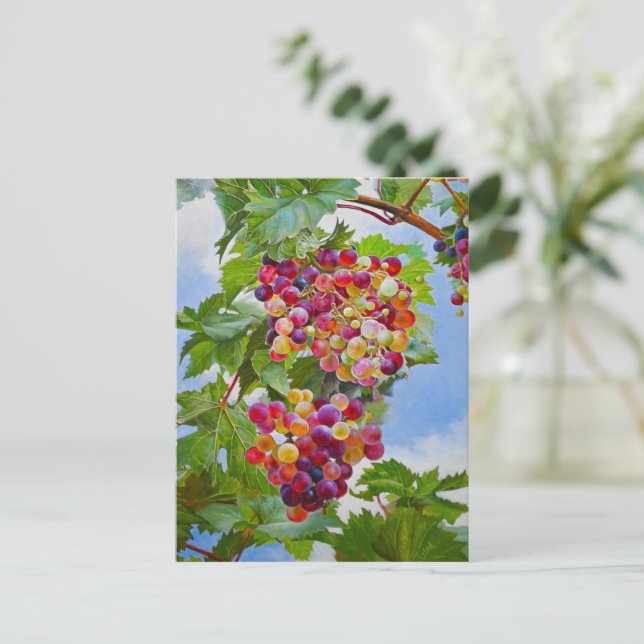 Sonnige Grapevine - Farbenfrohe Trauben Postkarte (Stehend Vorderseite)