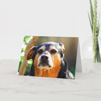 Sonnige Grimmig-Gesicht Gruß-Karte Karte