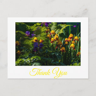 Sonnige Iris Blumen Garten Danke Postkarte