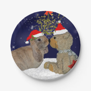 Sonnige Liebe auf der Weihnachtsscheibe Pappteller