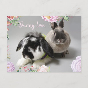 Sonnige Liebe Postkarte