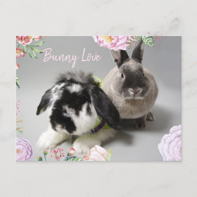 Sonnige Liebe Postkarte (Vorderseite)