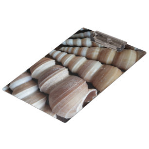 Sonnige Muscheln, Zwischenablage, Sommerstrand, Na Klemmbrett
