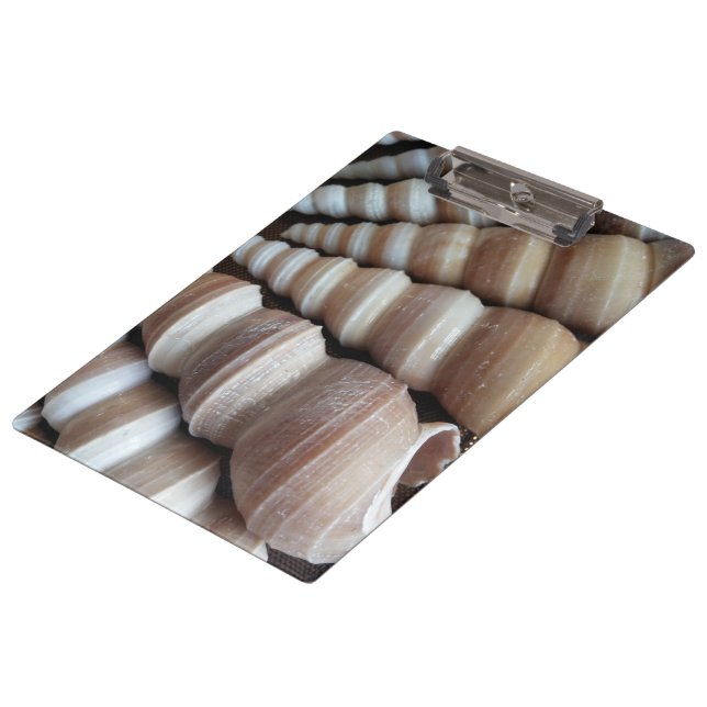 Sonnige Muscheln, Zwischenablage, Sommerstrand, Na Klemmbrett (Schrägansicht)