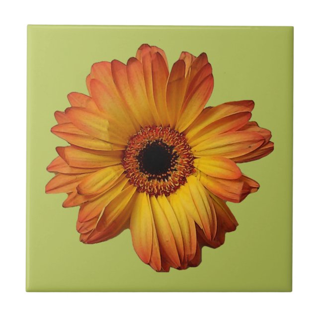 Sonnige Orange gerbera Blume Blüte Fliese (Vorderseite)