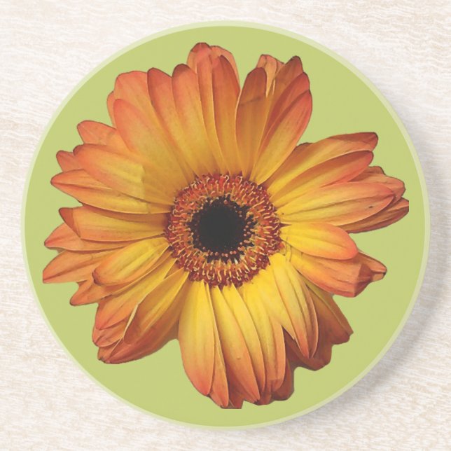 Sonnige Orange gerbera Blume Blüte Getränkeuntersetzer (Vorne)