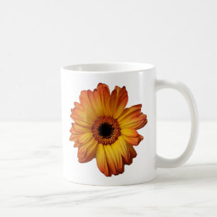 Sonnige Orange gerbera Blume Blüte Tasse