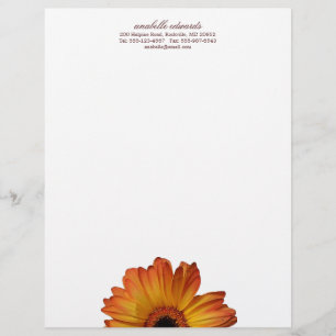 Sonnige orange Gerberagänseblümchen-Blumenblüte Briefkopf