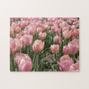 Sonnige rosa Tulpen Puzzle