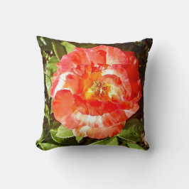 Sonnige Rose....... Kissen