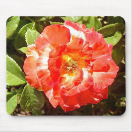 Sonnige Rose....... Mousepad
