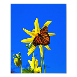 Sonnige Seite auf Fotodruck