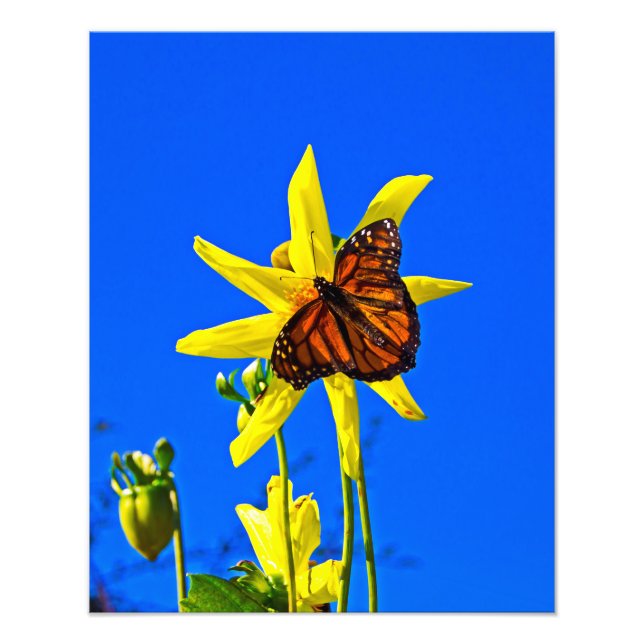 Sonnige Seite auf Fotodruck (Vorne)