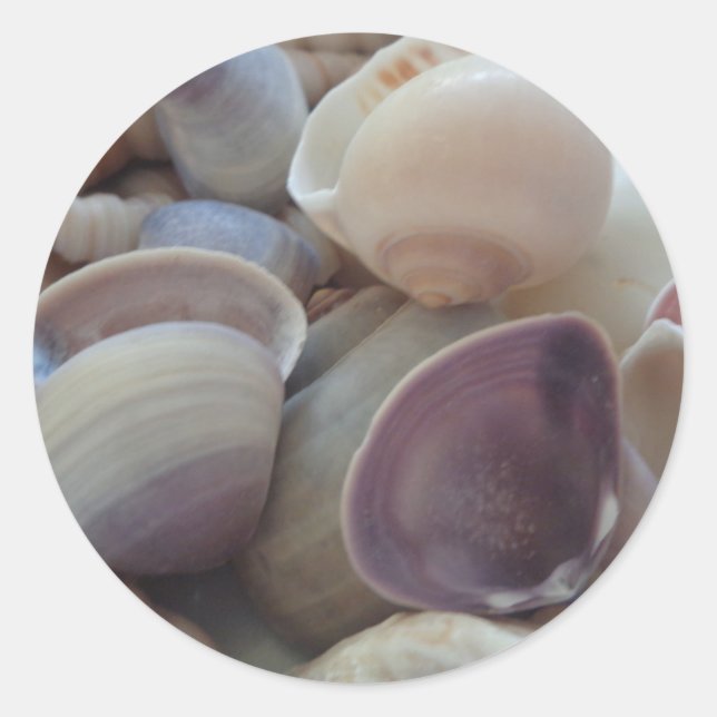 Sonnige Sommerhäuser, Sea Muschel Beach Runder Aufkleber (Vorderseite)