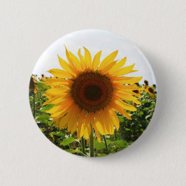 Sonnige Sonnenblume Button