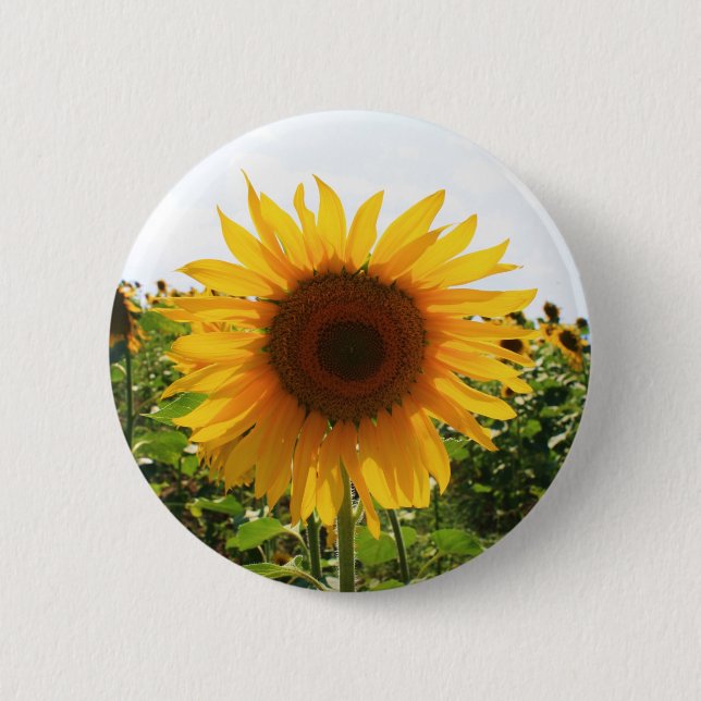 Sonnige Sonnenblume Button (Vorderseite)