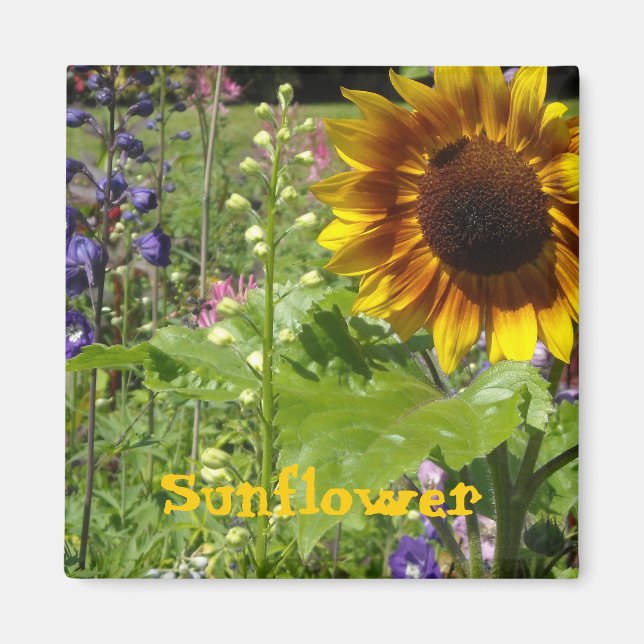 Sonnige Sonnenblume Magnet (Vorne)