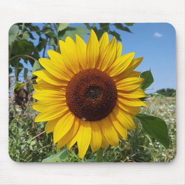 Sonnige Sonnenblume Mousepad (Vorne)