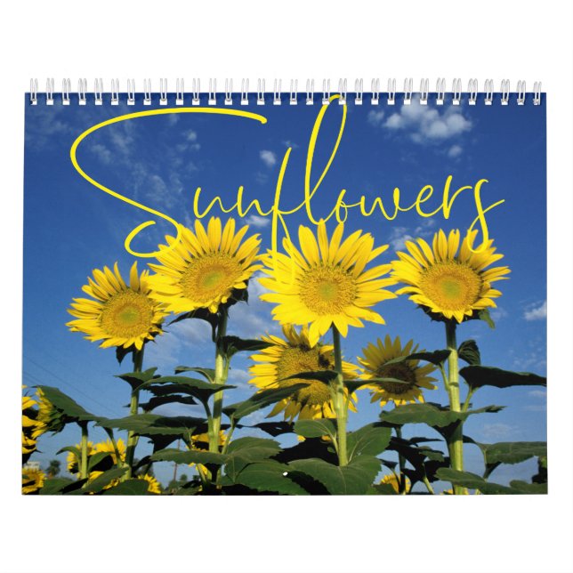 Sonnige Sonnenblumen Blumenkalender Kalender (Titelbild)