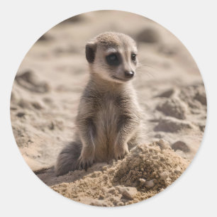 "Sonnige Tage: Baby Meerkat's Beach Adventure" Runder Aufkleber
