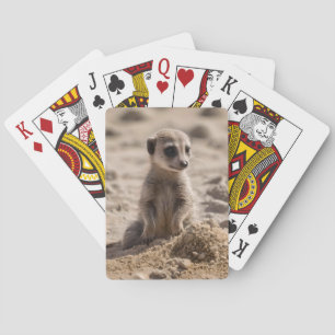 "Sonnige Tage: Baby Meerkat's Beach Adventure" Spielkarten