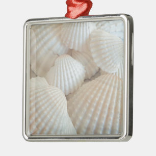 Sonnige weiße Muscheln, exotischer Sommerstrand Ornament Aus Metall