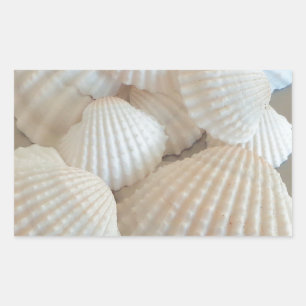 Sonnige weiße Muscheln, exotischer Sommerstrand Rechteckiger Aufkleber