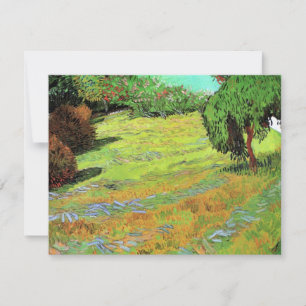 Sonnige Wiese im öffentlichen Park von Vincent van