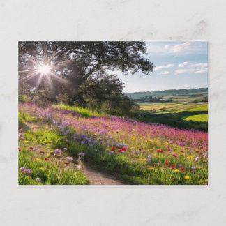 Sonnige Wildblumen im Country Holiday Postcard Feiertagspostkarte