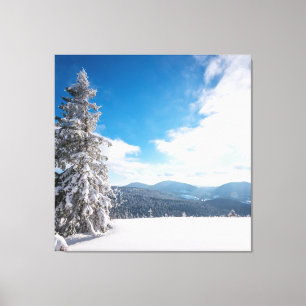 Sonnige Winterlandschaft Snowdrifts Leinwanddruck