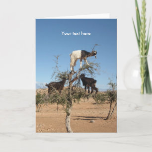 Sonnige Ziegen im Baum Feiertagskarte