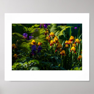 Sonniger Garten Blume Iris Nature Poster