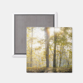 Sonniger Herbstpark, Foto Magnet