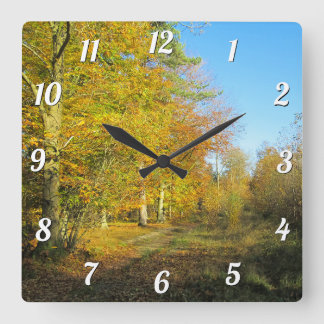 Sonniger Herbstspaziergang - individuell gestaltet Quadratische Wanduhr