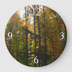Sonniger Herbstwald - Herbstlandschaft Große Wanduhr